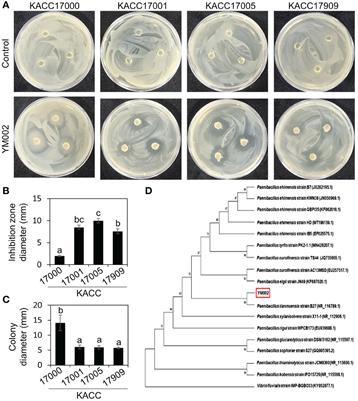 Frontiers | Isolation And Identification Antagonistic Bacterium ...